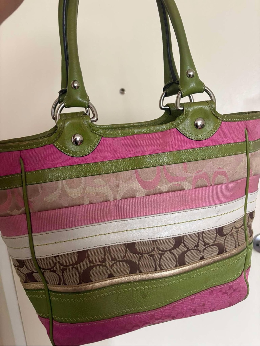 Daisy Coach Tote 🐛🩷